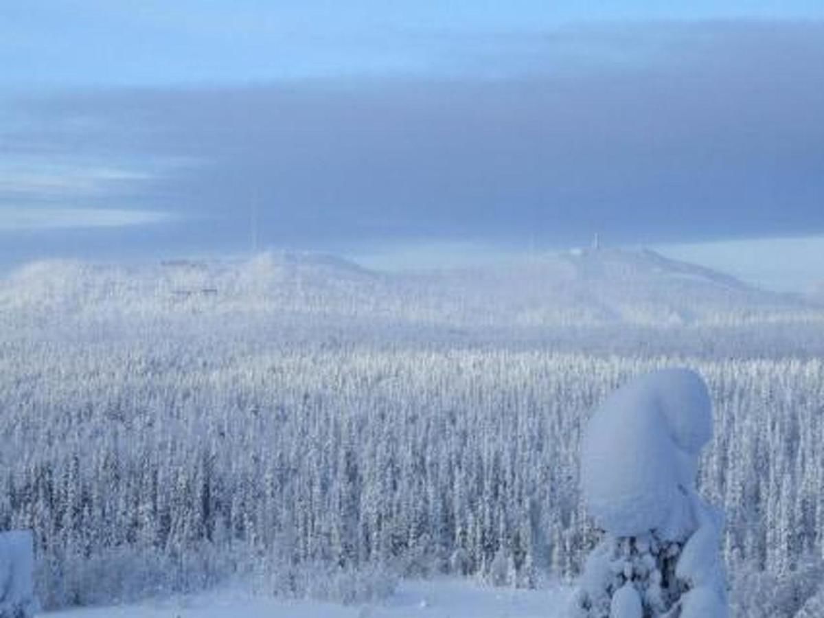 Дома для отпуска Holiday Home Rukajärven kelopirtit puolukka Aikkila